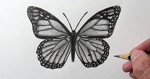 Cómo dibujar una Mariposa Monarca