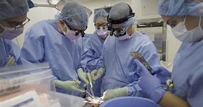 美「移植豬腎」創紀錄　腦死大體內正常運作61天！醫見狀態也驚訝 | ETtoday國際新聞 | ETtoday新聞雲