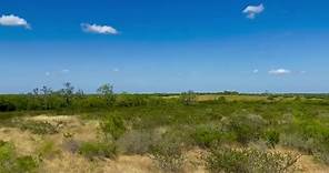 GREAT VIEWS here in Live Oak County on this 21.83 acres we have for sale outside of George West, Texas. #melissahartman #kingdomrealty #landntexas | Land N Texas