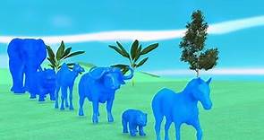 Animals Cartoon Colors transformation Zebra, Elephant, Bear, Camel, hippopotamus Crossing Portal