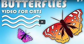 GAMES FOR CATS ON SCREEN - Catching Butterflies. — TV BINI