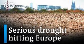 Europe's rivers are running dry as the climate crisis worsens | DW News