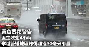 黃色暴雨警告一度生效逾4小時 本港普遍地區錄得超過30毫米雨量｜01新聞｜天氣｜黃雨｜天文台｜狂風雷暴｜驟雨 #hongkongnews