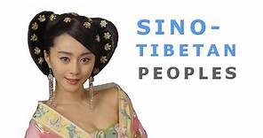Sino-Tibetan Language Family