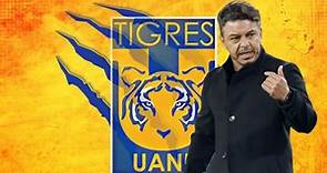 ¿Marcelo Gallardo a Tigres UANL? El DT argentino tiene una CLARA opinión