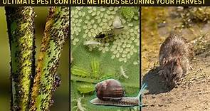 Ultimate Pest Control Guide for Farmers | Types, Methods, and Strategies
