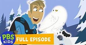 Wild Kratts FULL EPISODE | Snowy Owl Invasion | PBS KIDS