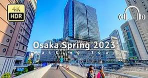 Osaka Spring 2023 South to North Long Walking Tour - Osaka Japan [4K/HDR/Binaural]
