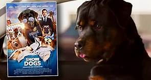 Controversial Scenes in 'Show Dogs' Movie Will Be Deleted