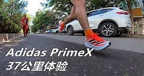 「誇張厚底」阿迪達斯 Adidas PrimeX 超彈泡棉最極端的跑鞋 37公里體驗 | 亞平寧的藍色