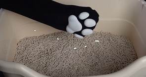 雪玉豆腐砂 低粉塵 - 養貓就是這樣輕鬆無塵