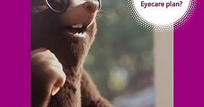 Want to know more about the Eyecare plan? Find out more: https://www.visionexpress.com/glasses/eyecare-plan | Vision Express