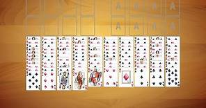 SolSuite 2016 - FreeCell Two Decks
