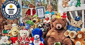 World's Largest Teddy Bear Collection - Guinness World Records