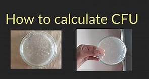 How to calculate Colony Forming Unit ( CFU)| Colony count | Microbiology laboratory