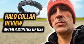 Halo Collar 3 In-Depth Review after 100 Days of Use