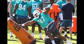 Miami Dolphins coach Joe Philbin shares rookie minicamp experience