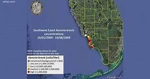 Red tide inches up Florida's Gulf Coast