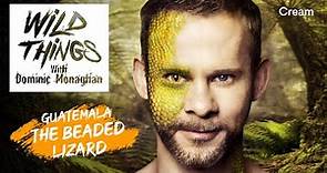 The Beaded Lizard | Wild Things with Dominic Monaghan (Season 1 Episode 8) | FULL EPISODE