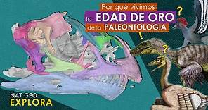 Por qué vivimos la edad de oro de la paleontología | National Geographic en Español