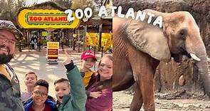 ZOO ATLANTA | Elephants, Pandas, Giraffes and so much more | Atlanta, GA
