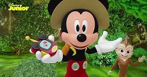 Mickey & Yo: Aventura animal | Disney Junior Oficial