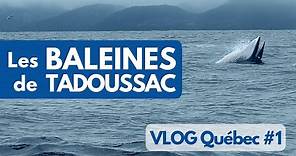 On a vu les BALEINES à TADOUSSAC au CANADA - VLOG Québec #1
