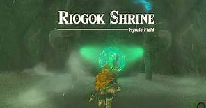 How to Complete Riogok Shrine in Zelda: Tears of The Kingdom (Riogok Shrine Walkthrough)