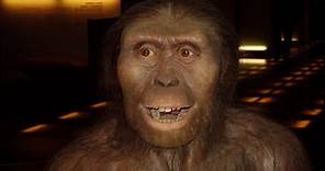 Lucy la Australopithecus: ¿quién era y cómo fue su vida?