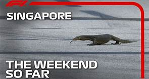 The Weekend So Far... | 2023 Singapore Grand Prix