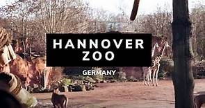 Hannover Zoo | Hanover | Germany | Hanover Germany | Things to Do Hanover | Hanover Attractions