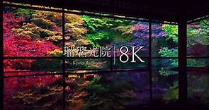 【京都一美しい庭園】瑠璃光院の紅葉絶景 - Kyoto in 8K