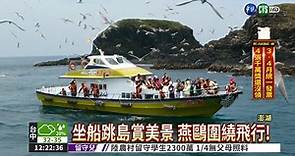 澎湖嬌客來! 遊客海上餵燕鷗 - 華視新聞網