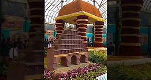 Flower show 2024 | Lalbagh Flower show