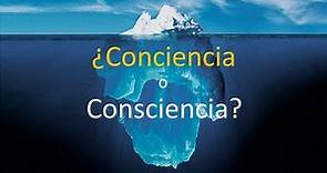 Conciencia o Consciencia, ¿qué diferencia hay?