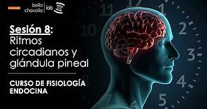 Fisiología de los ritmos circadianos y la glándula pineal