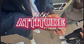 DEVSKY ft YOUNG HOOD attitude (clip official)