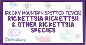 Rickettsia rickettsii & other Rickettsia species - an Osmosis Preview