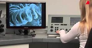 The Scanning Electron Microscope