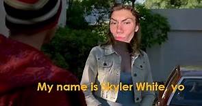 my name is skyler white, yo