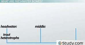 Freshwater Biome | Definition, Locations & Plants