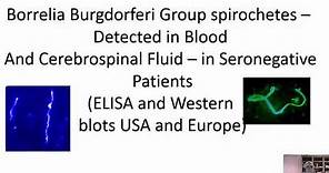 Alan Macdonald: Multiple Sclerosis is a parasitosis