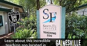 Take a trip to the 'Santa Fe College Teaching Zoo' in Gainesville Florida!