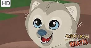 Aventuras con los Kratt - Exhibición de Hermosos Animales #1 | Videos Para Niños
