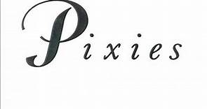 Pixies - Live In Minneapolis, MN - 04.13.04