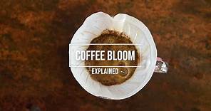 Coffee Bloom: Understanding what it is and how to take advantage of it