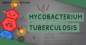 Mycobacterium tuberculosis - TB
