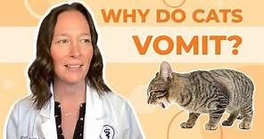 Why Do Cats Vomit? A Vet Explains How to Help