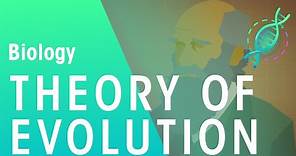 The Theory of Evolution by Natural Selection | Evolution | Biology | FuseSchool