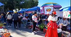#VIDEO | La Plaza de la Concordia luce... - Municipios Puebla